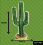 Mexicana Cactus Theming #1