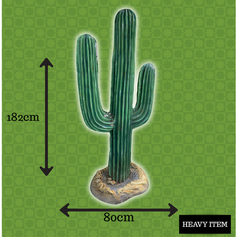 Mexicana Cactus Theming #2