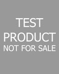 shopify auction